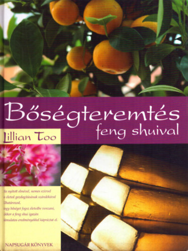 Lillian Too - Bsgterms Feng Shuival