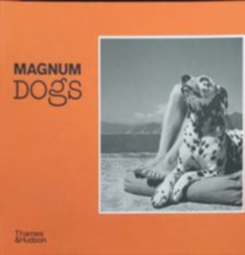 Magnum Dogs