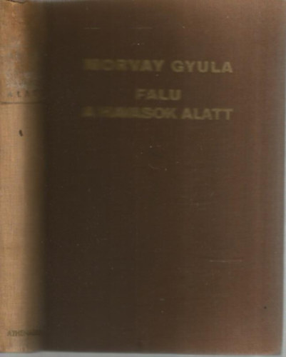 Morvay Gyula - Falu a havasok alatt