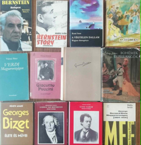 12 kötet külföldi zeneszerzők életrajzi könyveiből (Bernstein, Wagner, Schubert, Verdi, Puccini, Bizet, Beethoven, Mahler, Bernard Show)