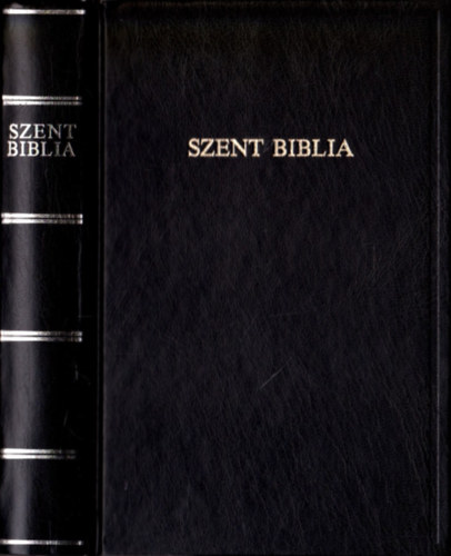 Magyar nyelvre fordtotta: Kroli Gspr - Szent Biblia  azaz Istennek  s j Testamentomban foglaltatott egsz Szent rs.