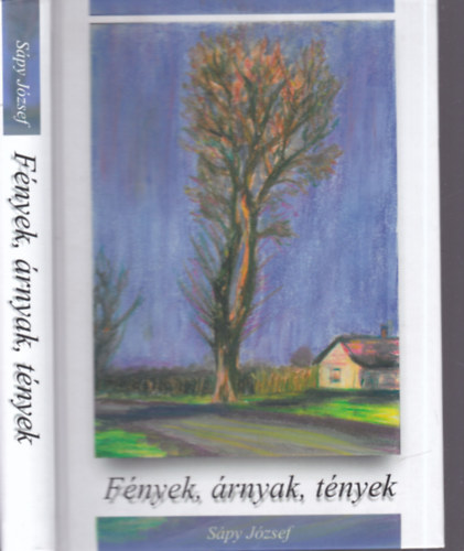 Spy Jzsef - Fnyek, rnyak, tnyek (letem, emlkeim - Adatok Fldes nagykzsg helytrtnethez) - Dediklt