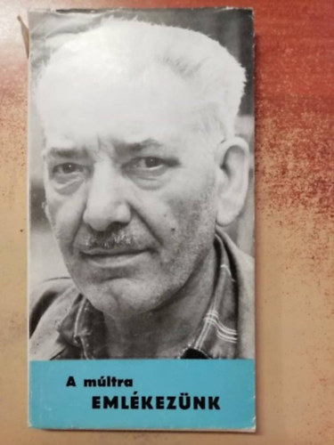 A m�ltra eml�kez�nk: A VAOSZ-t�l a HVDSZ-ig