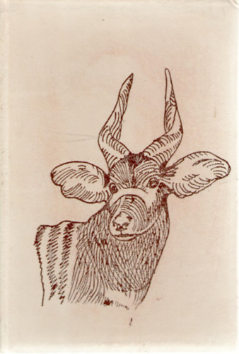 Szuhai István - Piga, piga! (Vadászkalandok három világrészen)