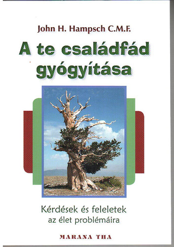 John H. Hampsch C.M.F. - A te csaldfd gygytsa