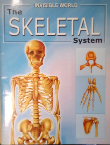 The Skeletal System / Invisible Worls /