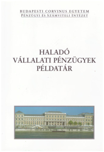 Haladó vállalati pénzügyek - Példatár