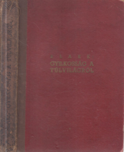 Nicholas Blake - Gyilkossg a tlvilgrl