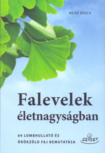 Meike Bosch - Falevelek életnagyságban