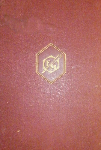 Földi Mihály - A Halasi-Hirsch fiú II.