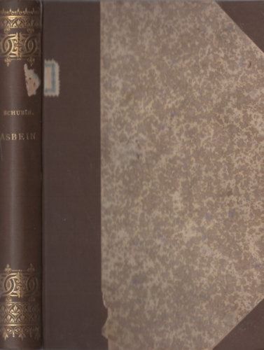 Ossip Schubin - Asbein. Egy m�v�sz �let�b�l.