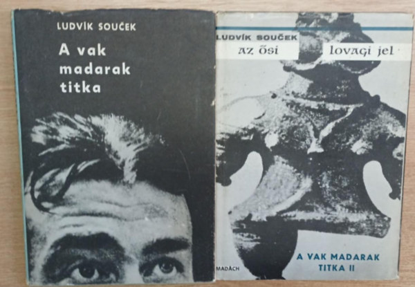 Ludvik Soucek - A vak madarak titka - Az si lovagi jel (A vak madarak titka II.)