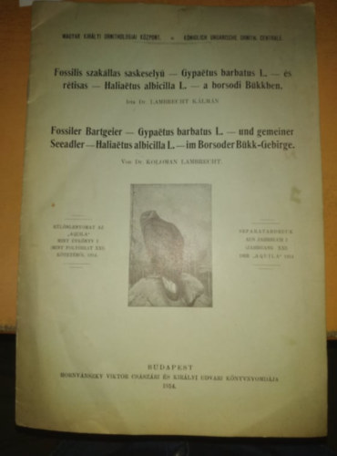 Dr. Lambrecht Klmn - Fossilis szakllas saskesely s rtisas a borsodi Bkkben.(klnlenyomat)