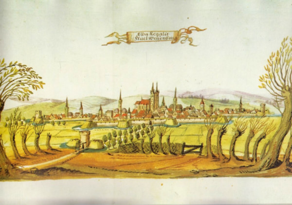 Magyarorszg klnsen hres erdtmnyeinek brzolsa 1664-bl