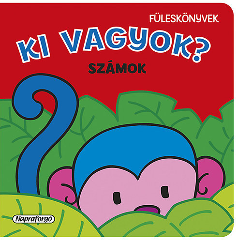 Ki vagyok? - Sz�mok