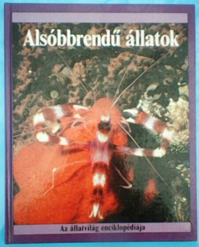 John Stidworthy - Alsbbrend llatok (Az llatvilg enciklopdija)