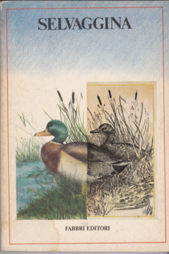 Ismeretlen Szerz� - Selvaggina