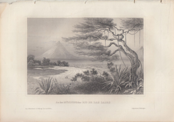 An der Mndung des Rio de Las Lajas (A Rio Las Lajas foly torkolata, Panama, Kzp-Amerika) (16x23,5 cm lapmret eredeti aclmetszet, 1856-bl)