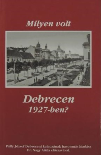 P�lfy J�zsef - Milyen volt Debrecen 1927-ben?