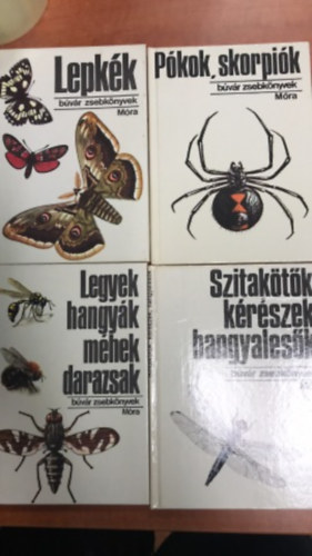 4 db Búvár zsebkönyvek,Legyek,hangyák+Pókok,Skorpiók+Szitakötők,Kérészek+Lepkék
