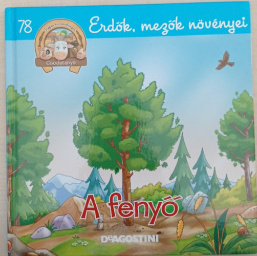 A fenyő (Csodatanya 78. - Erdők, mezők növényei)