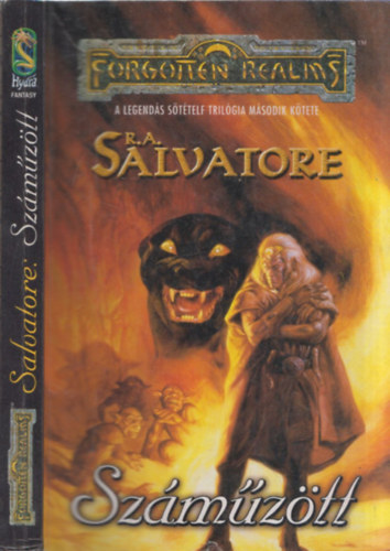 R. A. Salvatore - Szmztt