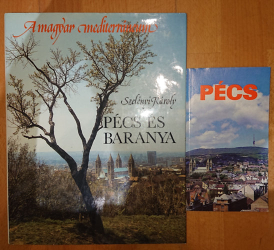 Bezerédy Győző Szelényi Károly - Pécs, Pécs és Baranya
