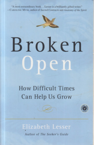 Elizabeth Lesser - Broken Open: How Difficult Times Can Help Us Grow