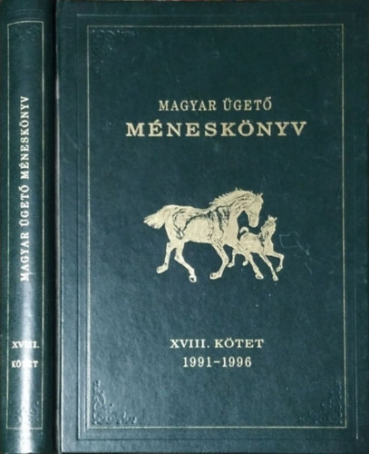 Magyar get mnesknyv XVIII. ktet (1991-1996)