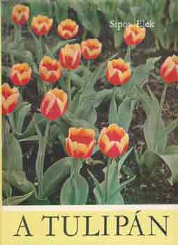 Sipos Elek - A tulipn