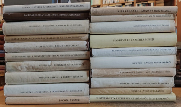 Bacon, Belinszkij, Auguste Comte, Condillac, Csernisevszkij, Dobroljubov, Engels, Feuerbach, Gracin, Herzen, Kierkegaard, Lenin, Lomonoszov, Mandeville, Montesquieu, Newton, Gasset, Russell, Seneca, - 20 db filozfia: Esszk (Bacon); Puskinrl, Lermontovrl, Gogolrl; A pozitv szellem; rtekezs az rzetekrl; A mvszet eszttikai viszonya a valsghoz; Hrom tanulmny; A csald, a magntulajdon s az llam eredete; Filozf