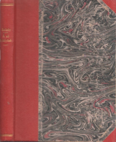 Szil�dy Zolt�n - A mi Erd�ly�nk (T�rt�neti �s n�prajzi v�zlatok)