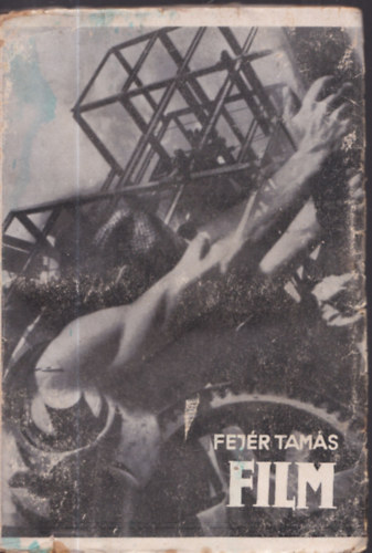 Fej�r Tam�s - Film- A film gy�rt�sa, eszt�tik�ja �s j�v�je