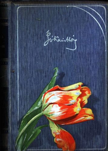 Jkai Mr - Sonkolyi Gergely - Dlvirgok - Varchonitk