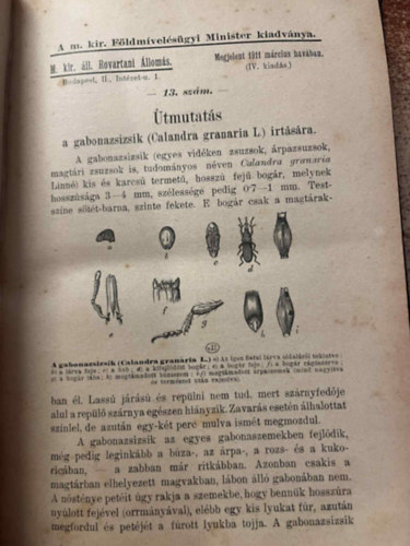 A m. kir. földmivelésügyi minister kiadványai (Rovarírtás, több szám egybekötve)
