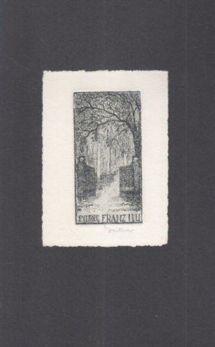 Ex Libris - Franz Illi (eredeti nyomat)