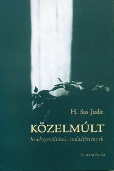 H. Sas Judit - Közelmúlt