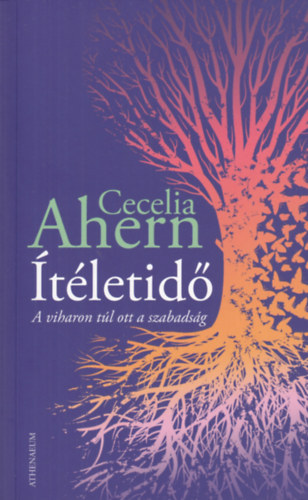 Cecelia Ahern - Ítéletidő