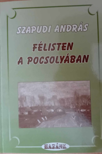 Szapudi Andrs - Flisten a pocsolyban Dediklt pldny