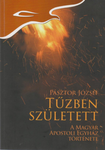 P�sztor J�zsef - T�zben sz�letett - A Magyar apostoli egyh�z t�rt�nete