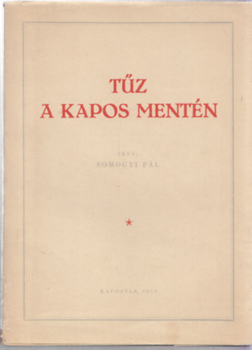 Somogyi P�l - T�z a Kapos ment�n