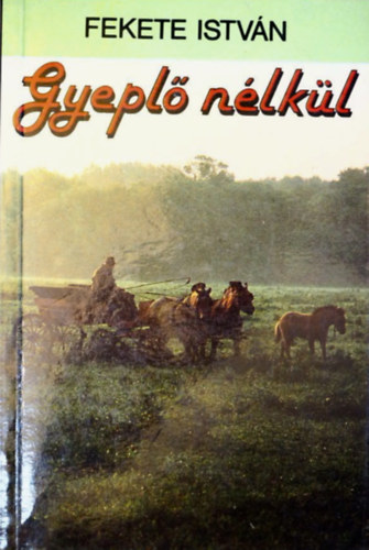 Vber Kroly  Fekete Istvn (szerk.) - Gyepl nlkl (Nesztor kiadvny)