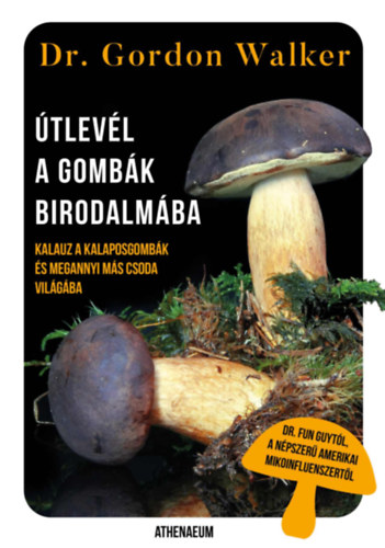 Gordon Walker - �tlev�l a gomb�k birodalm�ba