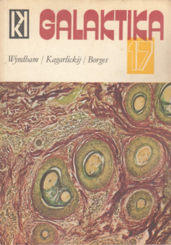 Kuczka Pter  (szerk.) - Galaktika 17. Wyndham - Kagarlickij - Borges