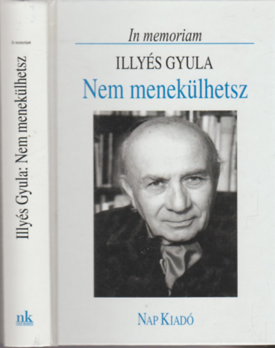 Domokos Mtys - Nem meneklhetsz (In memoriam Illys Gyula)