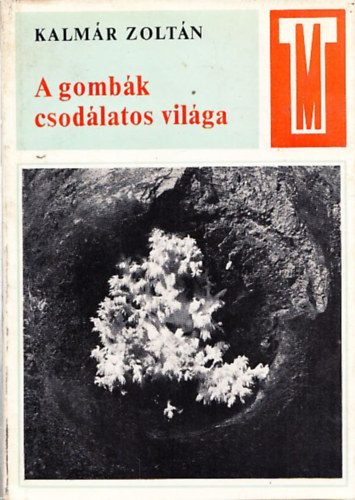 Kalmr Zoltn - A gombk csodlatos vilga