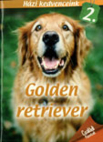 Golden retriever - Hzi kedvenceink 2.