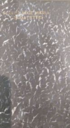 Dr. Lechermann J�nos - Seg�t� Sz�z M�ria csodatettei