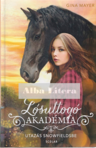 Gina Mayer - Utazás Snowfieldsbe