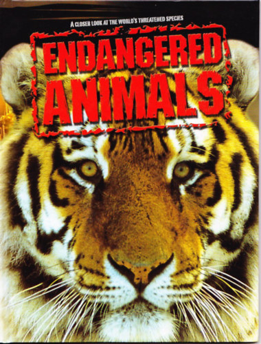Endangered Animals - a Closer Look at the World's Threatened Species